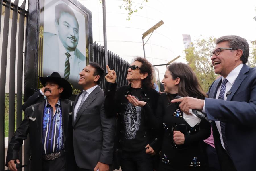 “¡Que viva el rock and roll!” reson&oacute; en la tribuna del Senado