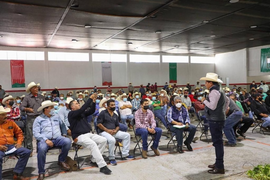 Incrementan precios de garantía a frijol