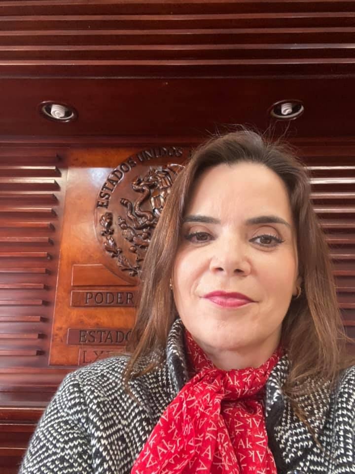 Confronta Fresnillo irregularidades urbanas