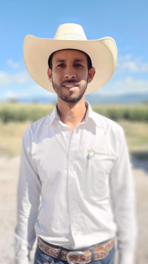 Limón de temporada brinda rentabilidad a productores