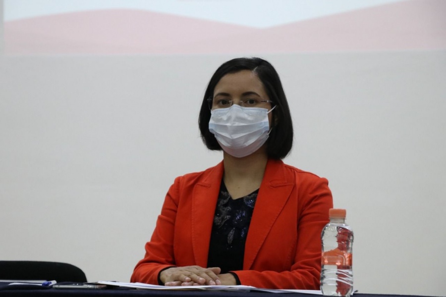 Expone Luz Dom&iacute;nguez temario para PED