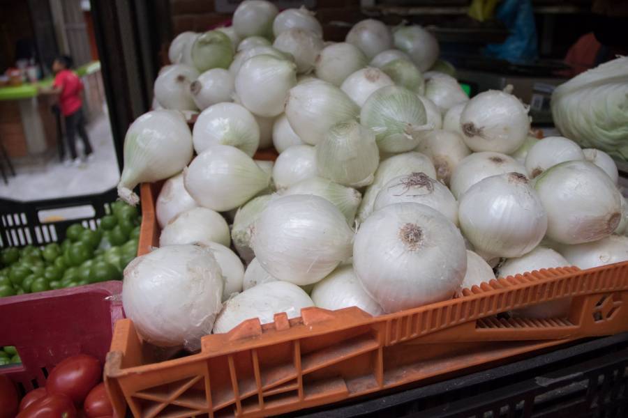 Economía investiga cebollas que provocaron brotes de salmonela en EEUU y Canadá