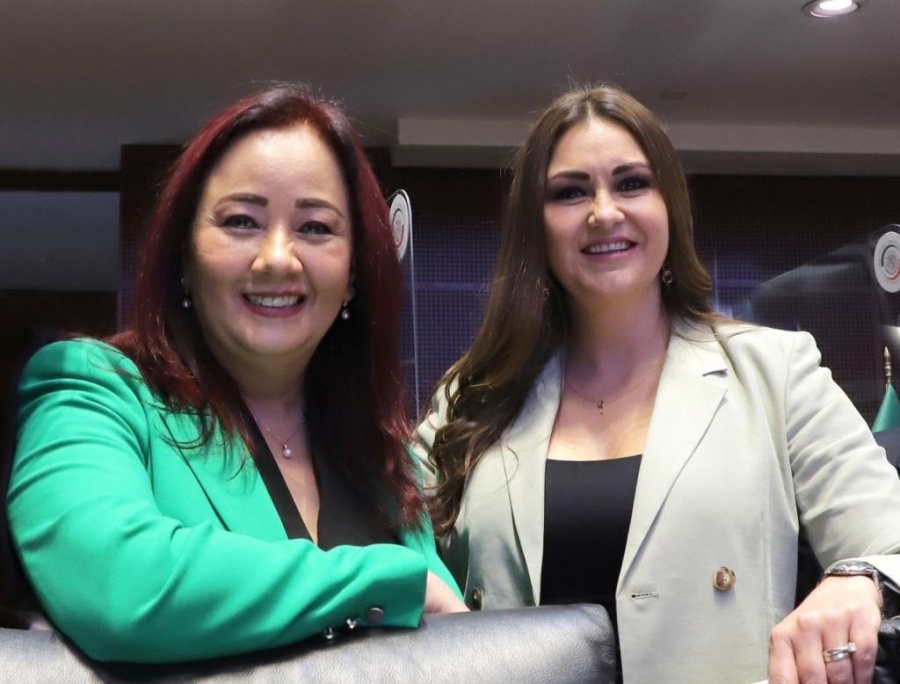 Solicita Ba&ntilde;uelos proteger derechos de usuarios a&eacute;reos