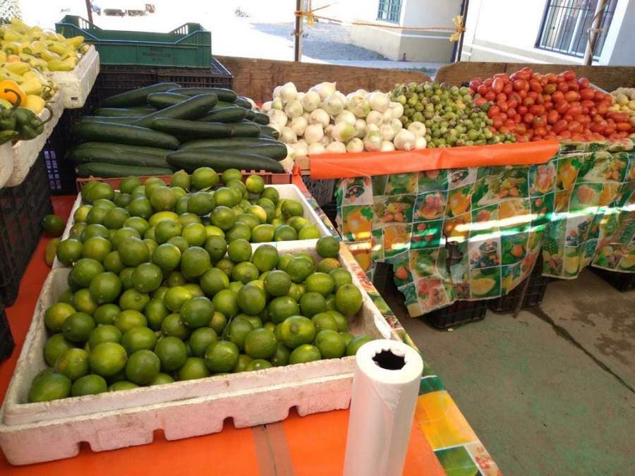 Incrementa 300 por ciento precio del lim&oacute;n