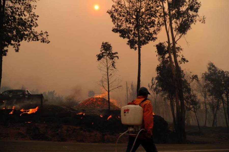 Incendios forestales en zona centro sur de Chile dejan al menos cinco muertos