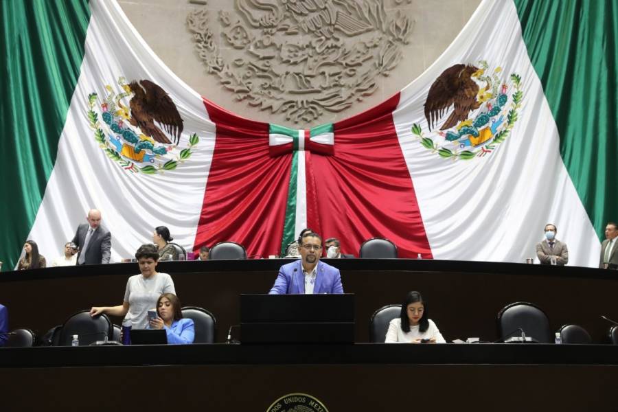 Aprueban diputados evitar uso de grasa trans en alimentos y bebidas
