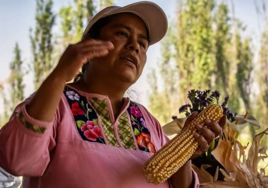 M&aacute;s de 20 iniciativas de CDMX ya operan con nuevo modelo de turismo responsable