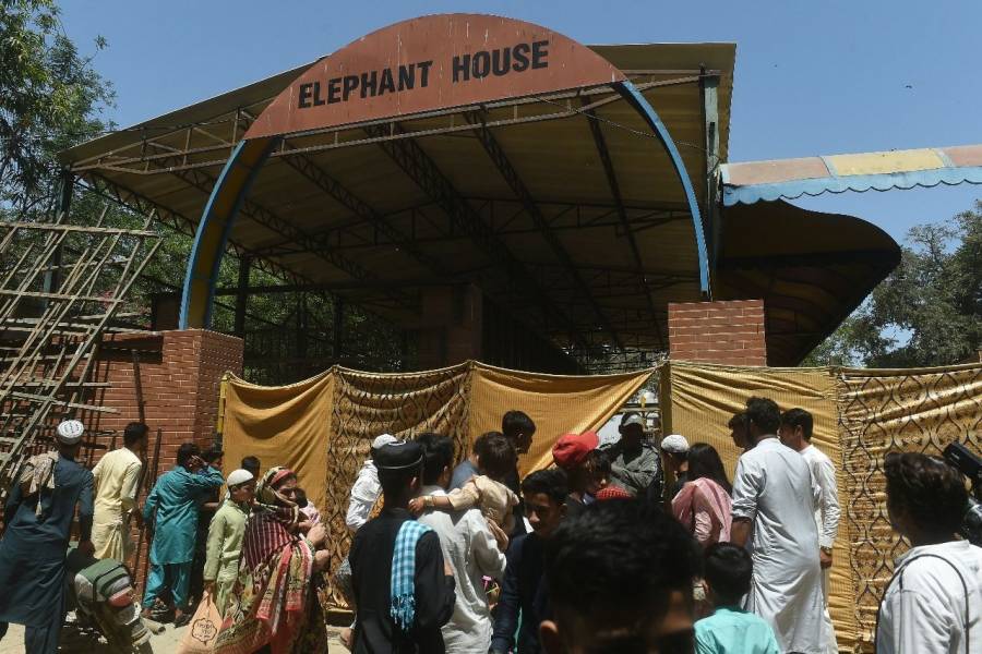 Críticas a un zoológico de Pakistán tras la muerte de una elefanta