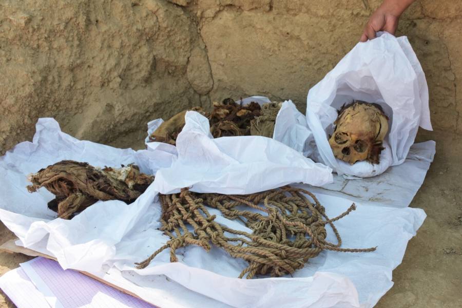 Hallan momia de adolescente de unos 800 a&ntilde;os en Per&uacute;