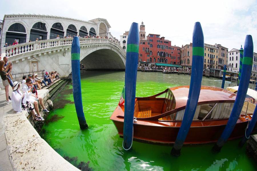 Las aguas del Gran Canal de Venecia se ti&ntilde;en de verde fosforescente