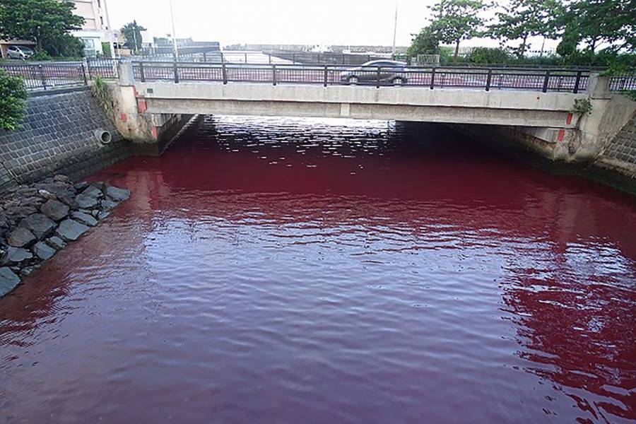 Fuga de refrigerante de una cerveceria japonesa torna rojas aguas de una bah&iacute;a