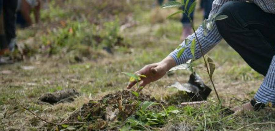 Mi gobierno es ambientalista, compensa obras urbanas con medidas preventivas y de mitigación: Cuitláhuac García