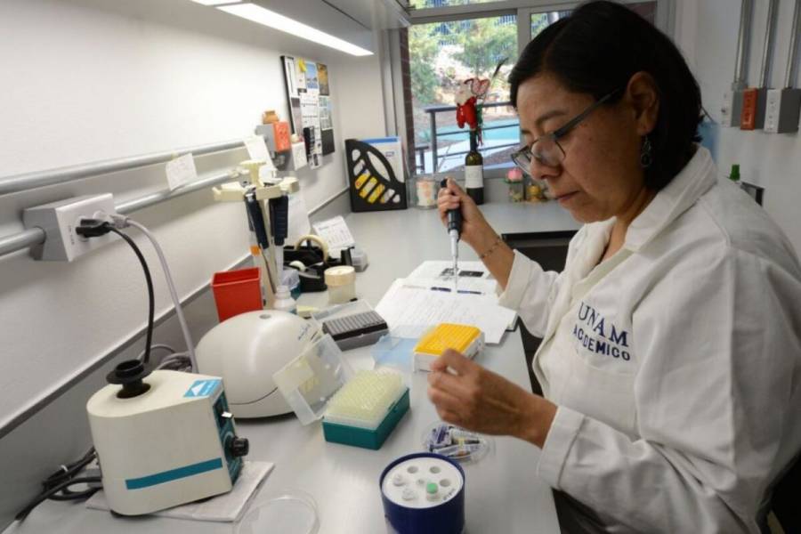 Cient&iacute;ficos de la UNAM estudian usar virus para combatir bacterias resistentes a antibi&oacute;ticos
