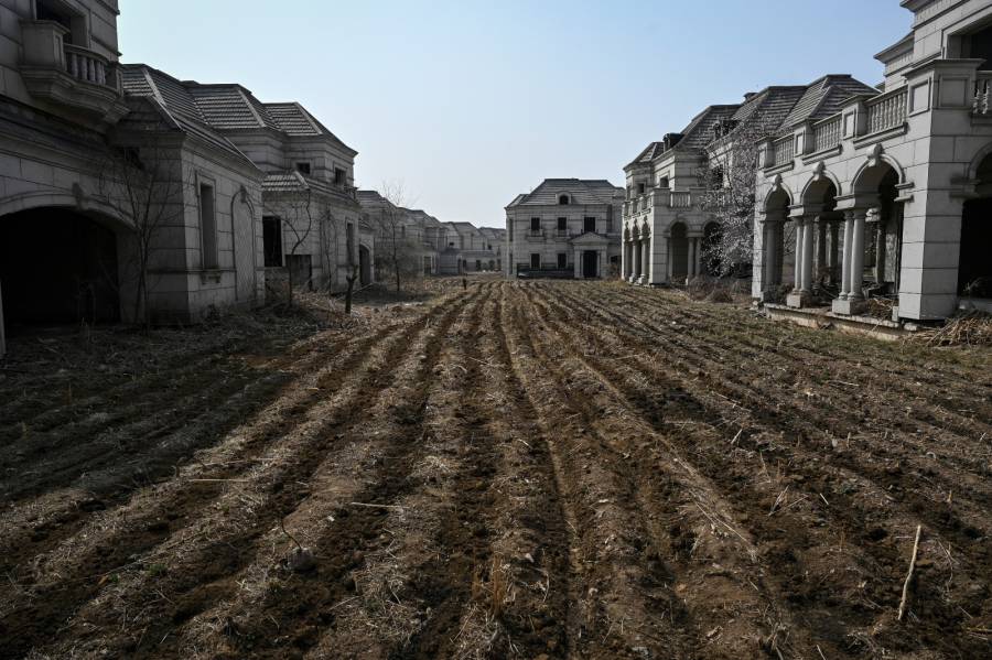 El ganado y los cultivos se apoderan de una ciudad fantasma en China
