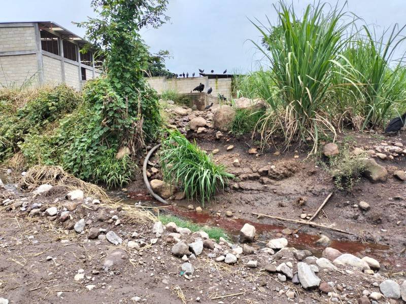 Habitantes de Paso del Macho en Veracruz denunciaron contaminación por Rastro Municipal