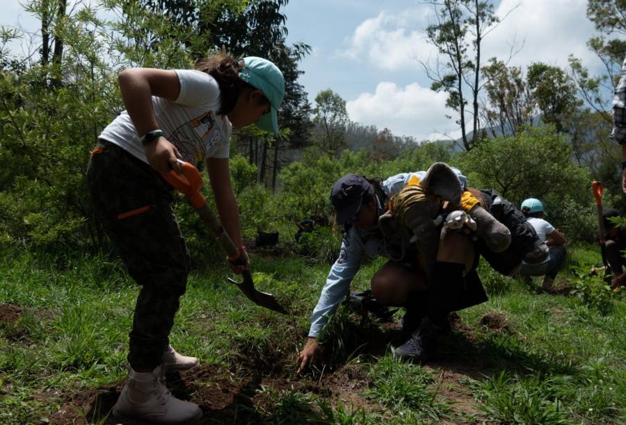 Iniciativa de reforestación en Xalapa, Veracruz: