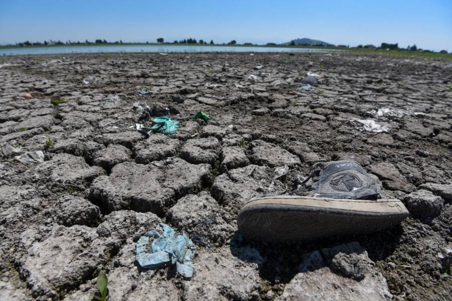 Sequía afecta a 137 municipios en Veracruz, advierte la conagua